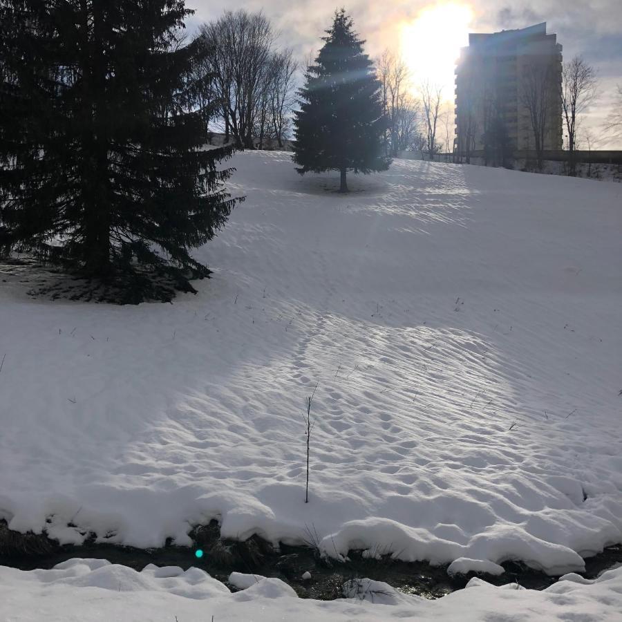 Pano Hohegeiss App 363 Mit Wlan Apartment Braunlage Bagian luar foto
